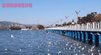 昆明旅游哪里好玩？都是有哪些比較好玩的地方、