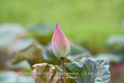 天子廟古墓群、