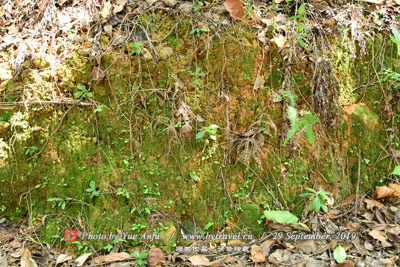 紅軍攻城戰斗遺址
